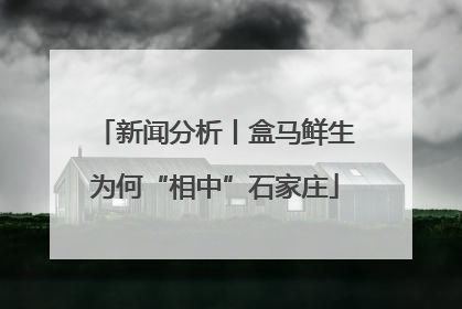 新闻分析丨盒马鲜生为何“相中”石家庄