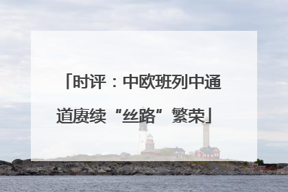 时评：中欧班列中通道赓续“丝路”繁荣