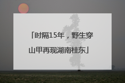 时隔15年，野生穿山甲再现湖南桂东