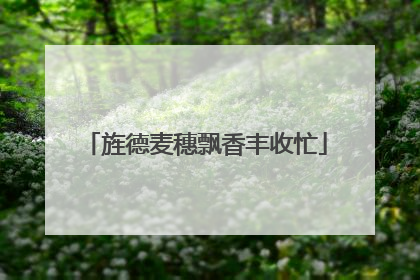 旌德麦穗飘香丰收忙