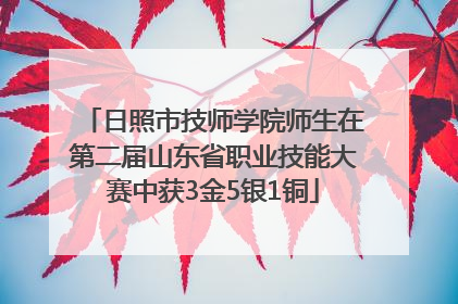 日照市技师学院师生在第二届山东省职业技能大赛中获3金5银1铜