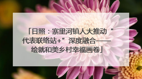 日照：寨里河镇人大推动“代表联络站+”深度融合——绘就和美乡村幸福画卷