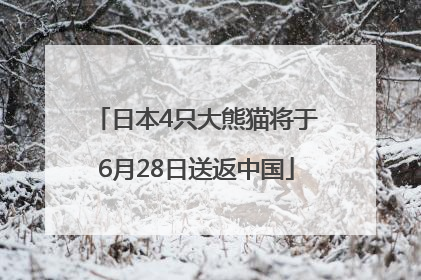 日本4只大熊猫将于6月28日送返中国