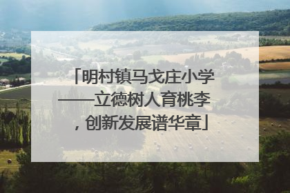 明村镇马戈庄小学——立德树人育桃李，创新发展谱华章