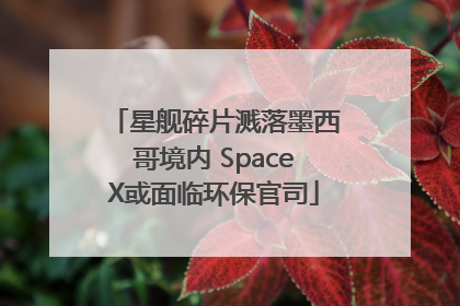 星舰碎片溅落墨西哥境内 SpaceX或面临环保官司