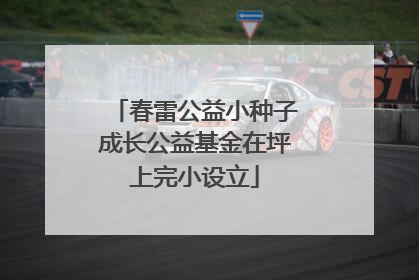 春雷公益小种子成长公益基金在坪上完小设立