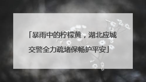 暴雨中的柠檬黄，湖北应城交警全力疏堵保畅护平安