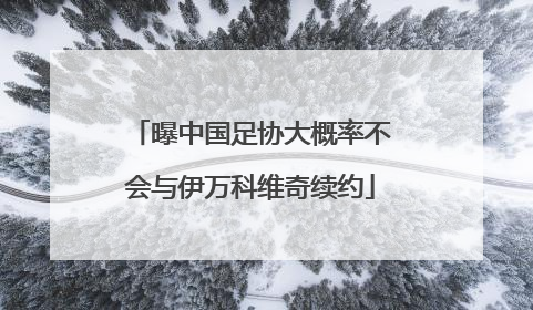 曝中国足协大概率不会与伊万科维奇续约
