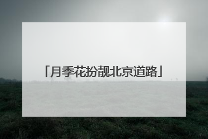 月季花扮靓北京道路