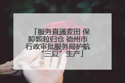 服务直通麦田 保障颗粒归仓 德州市行政审批服务局护航“三夏”生产