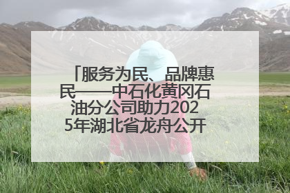 服务为民、品牌惠民——中石化黄冈石油分公司助力2025年湖北省龙舟公开赛（黄冈站）