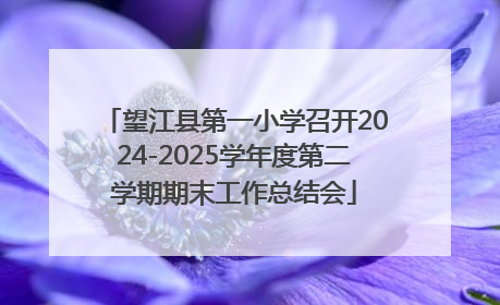 望江县第一小学召开2024-2025学年度第二学期期末工作总结会