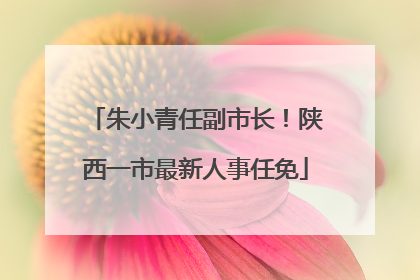 朱小青任副市长！陕西一市最新人事任免