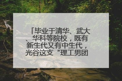 毕业于清华、武大、华科等院校，既有新生代又有中生代，光谷这支“理工男团”为何“出道”？