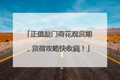 正值厦门荷花观赏期，赏荷攻略快收藏！
