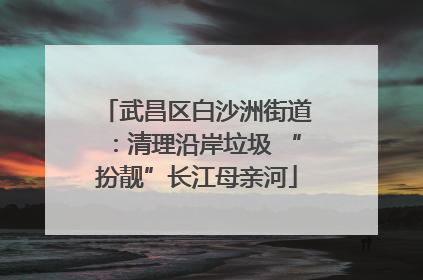 武昌区白沙洲街道：清理沿岸垃圾 “扮靓”长江母亲河
