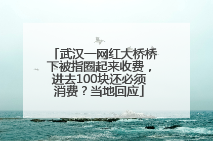 武汉一网红大桥桥下被指圈起来收费，进去100块还必须消费？当地回应