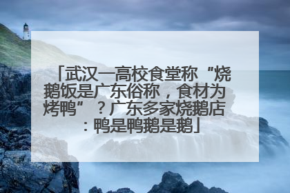 武汉一高校食堂称“烧鹅饭是广东俗称，食材为烤鸭”？广东多家烧鹅店：鸭是鸭鹅是鹅