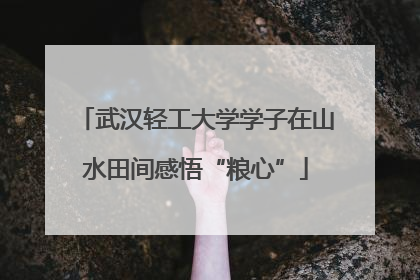 武汉轻工大学学子在山水田间感悟“粮心”