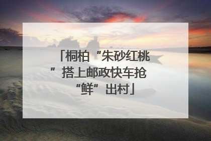 桐柏“朱砂红桃”搭上邮政快车抢“鲜”出村