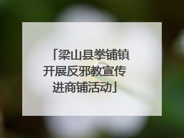 梁山县拳铺镇开展反邪教宣传进商铺活动