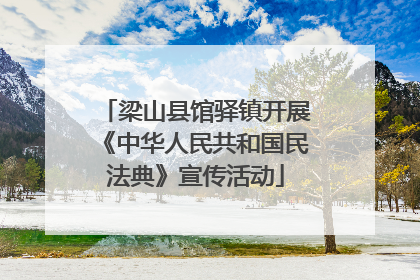 梁山县馆驿镇开展《中华人民共和国民法典》宣传活动
