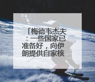 梅德韦杰夫：一些国家已准备好，向伊朗提供自家核弹头