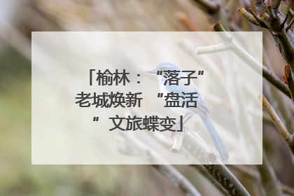 榆林：“落子”老城焕新 “盘活”文旅蝶变
