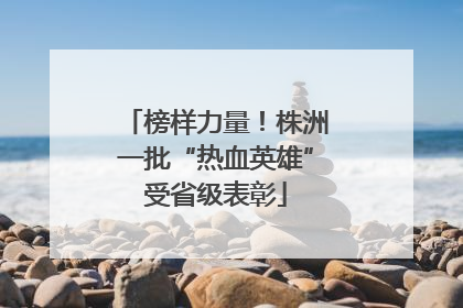 榜样力量！株洲一批“热血英雄”受省级表彰