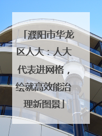 濮阳市华龙区人大：人大代表进网格，绘就高效能治理新图景