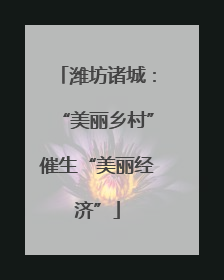 潍坊诸城：“美丽乡村”催生“美丽经济”