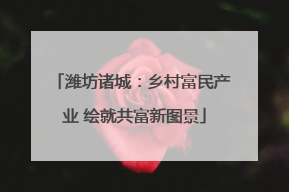潍坊诸城：乡村富民产业 绘就共富新图景