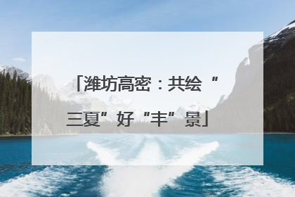 潍坊高密：共绘“三夏”好“丰”景