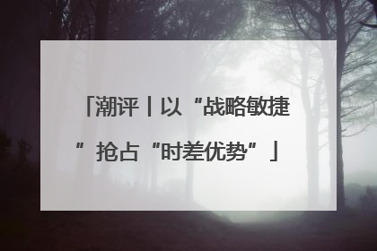 潮评丨以“战略敏捷”抢占“时差优势”