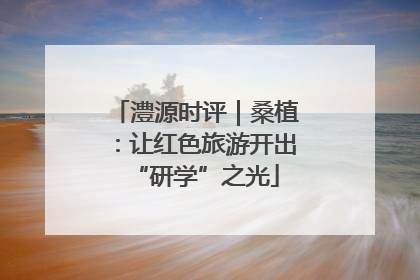 澧源时评｜桑植：让红色旅游开出“研学”之光