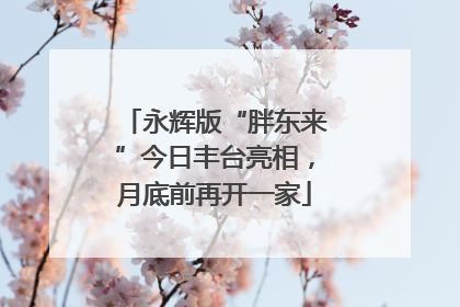 永辉版“胖东来”今日丰台亮相，月底前再开一家