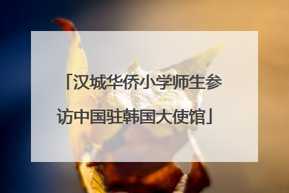 汉城华侨小学师生参访中国驻韩国大使馆