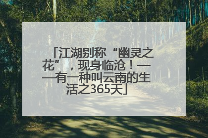 江湖别称“幽灵之花”，现身临沧！——有一种叫云南的生活之365天