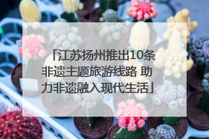 江苏扬州推出10条非遗主题旅游线路 助力非遗融入现代生活