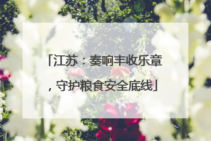 江苏：奏响丰收乐章，守护粮食安全底线