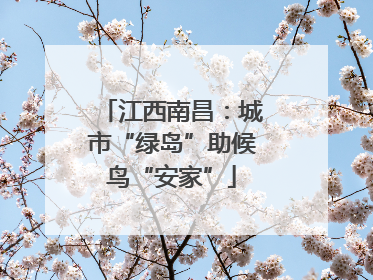 江西南昌：城市“绿岛”助候鸟“安家”