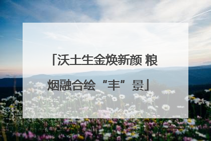沃土生金焕新颜 粮烟融合绘“丰”景