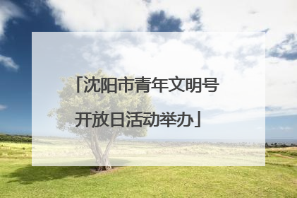 沈阳市青年文明号开放日活动举办