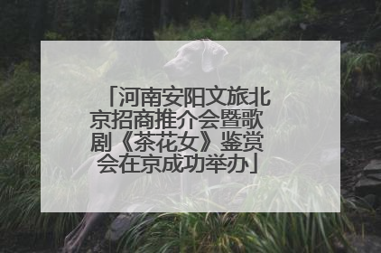 河南安阳文旅北京招商推介会暨歌剧《茶花女》鉴赏会在京成功举办