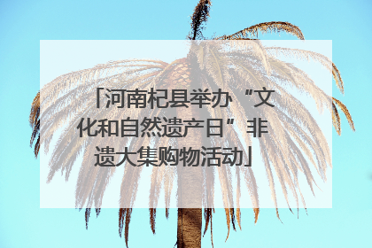 河南杞县举办“文化和自然遗产日”非遗大集购物活动