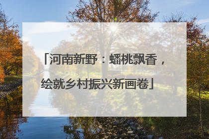 河南新野：蟠桃飘香，绘就乡村振兴新画卷