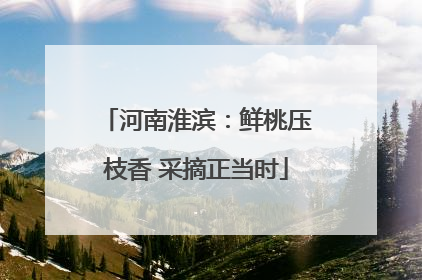 河南淮滨：鲜桃压枝香 采摘正当时