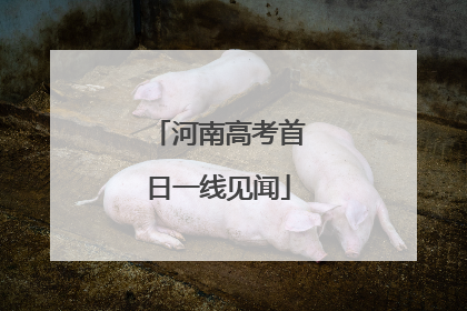 河南高考首日一线见闻
