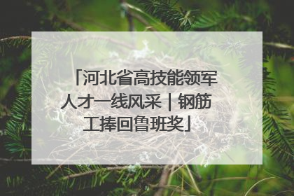 河北省高技能领军人才一线风采｜钢筋工捧回鲁班奖
