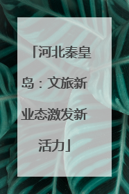 河北秦皇岛：文旅新业态激发新活力